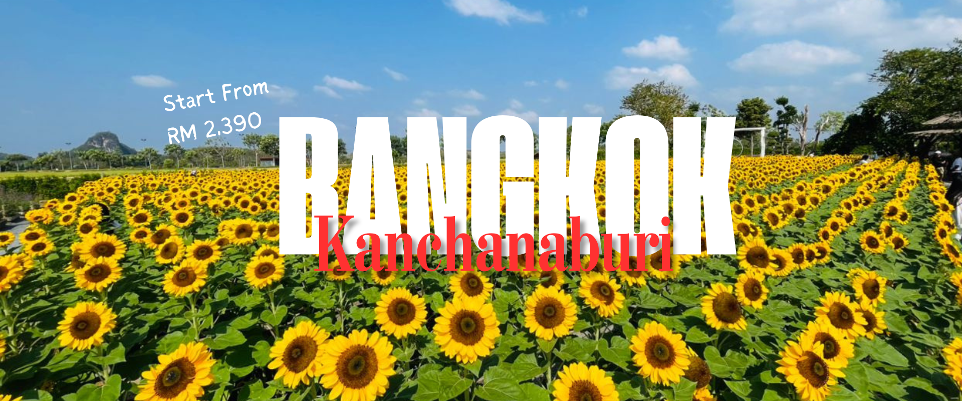 Green and White Bold Travel Vlog Bangkok Youtube Thumbnail (1920 x 800 px)